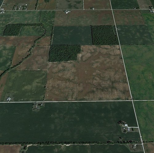 Property photo 2 - LAND AUCTION, 200+/- Acres offered in 4 Tracts